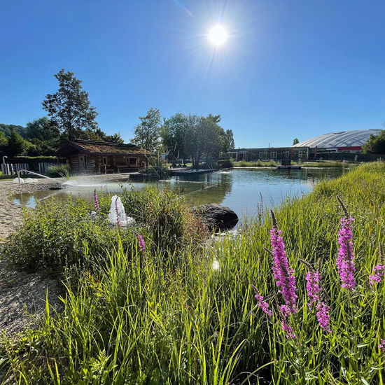 Bild von Bonuskarte 250 €